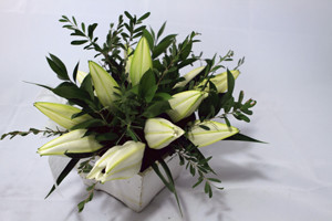 Living Gifts by Fiona Pic 5 - Oriental Lillies in a Shabby Chic white box