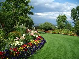 4U Services Garden Maintenance Pic 2