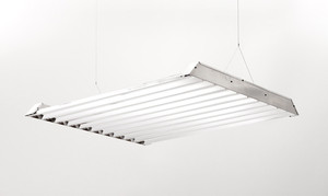 Lux Commercial Lighting Pic 5 - Semaphore T5 Series 10 Lamps