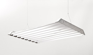 Lux Commercial Lighting Pic 4 - Semaphore T5 Series 8 Lamps