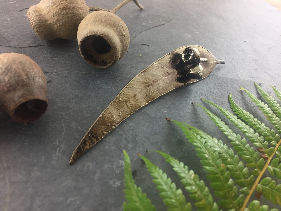 Leaf Seed Pod Shell Pic 1 - Leaf Seed Pod Shell Gum Leaf and Gum Nut Brooch Antique Nickel This beautiful brooch features a gorgeous Australian native gum leaf electroformed in an antique nickel finish It also features gum nut trio with a copper patina finish