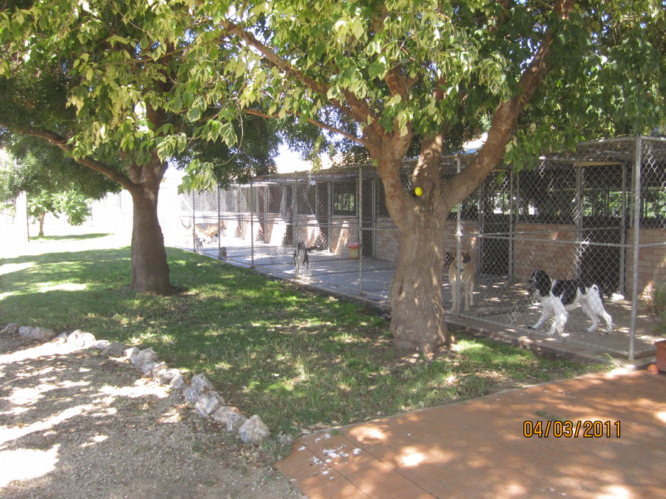 Dandaleith Boarding Kennels in Wagga Wagga, NSW, Animal Breeding