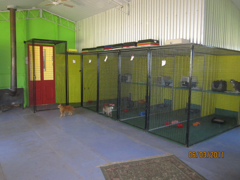 Dandaleith Boarding Kennels in Wagga Wagga, NSW, Animal Breeding
