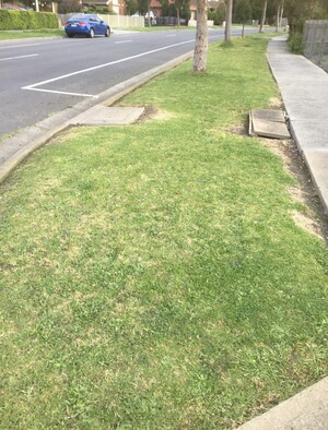 R And M Lawn Services Pic 2