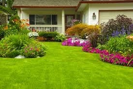 James' Lawn & Garden Care Battery Hill Pic 1