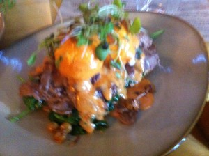 Treehouse Lounge Pic 2 - pulled lamb benny