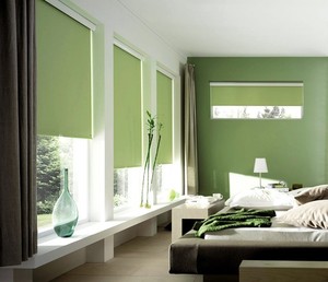 Apollo Blinds Pic 2 - Rollers