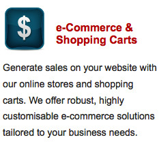 Spunkebusiness Pic 5 - eCommerce