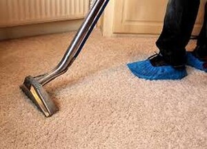 Carpet Cleaning Wright Pic 4