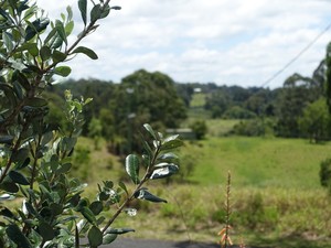 Winston Cottage Pic 4 - Life in the country