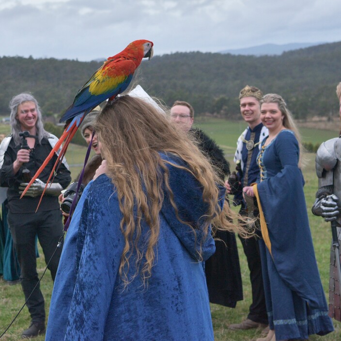 Majick Feathers Pic 1