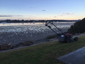 Tasker Property Maintenance & Tree Service Pic 4 - Lawn mowing merimbula