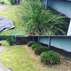 Tasker Property Maintenance & Tree Service Pic 5 - Garden refurbish