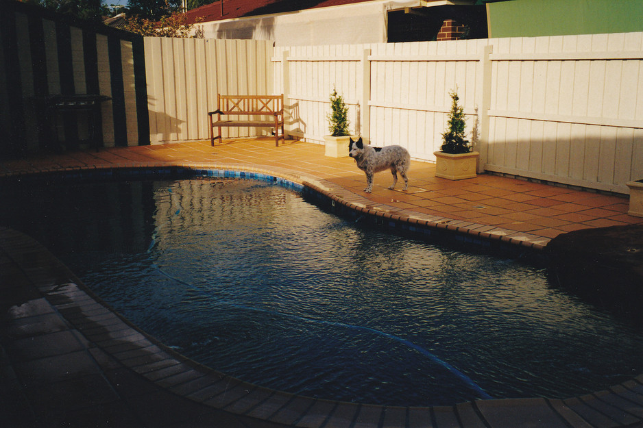 Let Me Fix It Home Maintenance Pic 1 - Outside Pool Area After