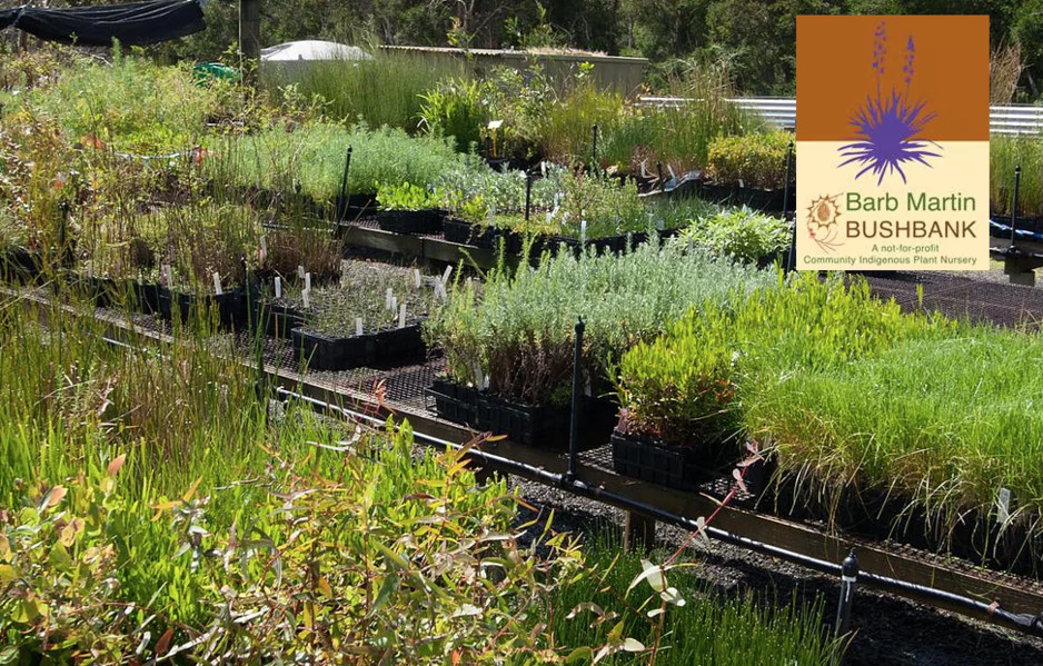 Barb Martin Bushbank, Indigenous Community Nursery Pic 1 - Our Nursery