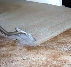 Carpet Cleaning Ngunnawal Pic 1