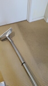 Carpet Cleaning Ngunnawal Pic 2