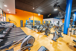 Plus Fitness 24/7 Castle Hill Pic 3 - Extensive range of Cardio Equipment