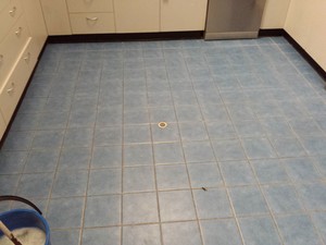 Choice Cleaning Services Pic 3 - Tiles before cleaning