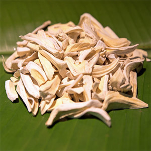 MyBee Australia Pic 2 - Dried Raw Jack Fruit