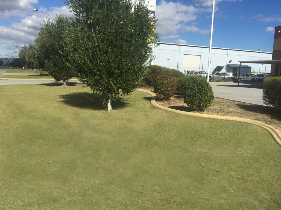 All Seasons Lawn Care Morley Pic 1 - Services provided here are lawn mowing gardening fertilizing weed spraying