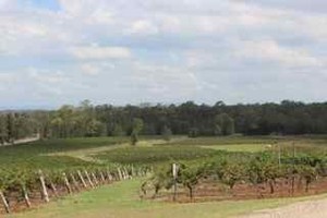 Blue Door Tours Pic 5 - Enjoy a wine tasting tour at handpicked family owned wineries