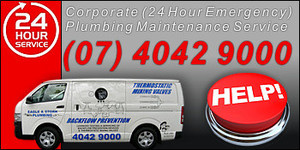 Eagle & Stork Plumbing Pty Ltd Pic 2 - Experienced Tradesmen available for out of hours emergencies