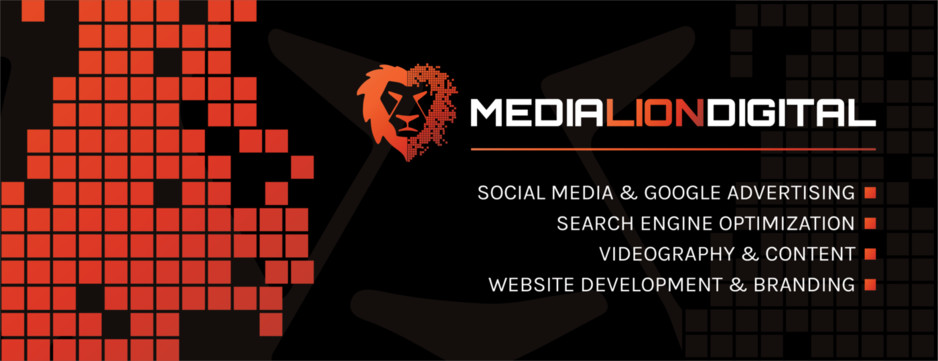 Media Lion Digital Marketing Agency Pic 2