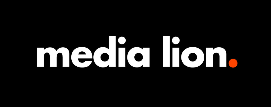 Media Lion Digital Marketing Agency Pic 1