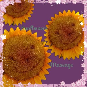 Sunflowersmassage Pic 2