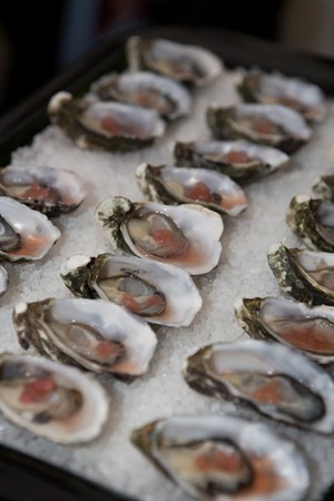 Botanic Garden Weddings Pic 2 - The Botanic Gardens Restaurant freshly shucked oysters under the canopy of the Plane Trees for pre dinner drinks and canapes