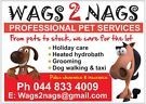 Wags 2 Nags Pet Services Pic 1