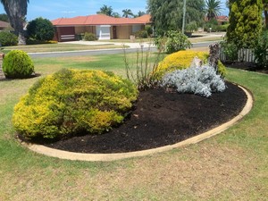 The Gardening Frog Pic 2 - after mulching