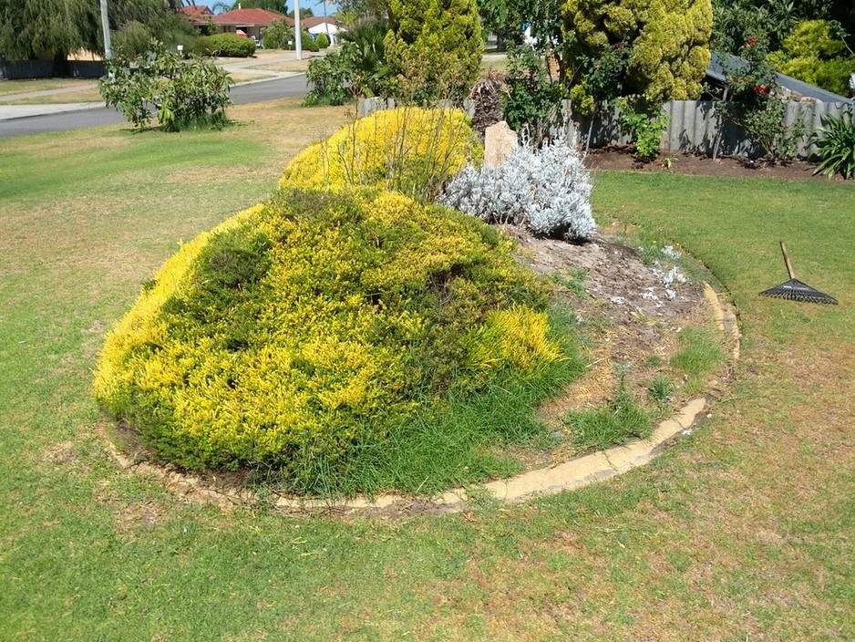 The Gardening Frog Pic 1 - before mulching