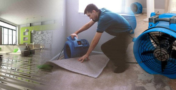 Spot on Carpet Pic 1 - Mattress Cleaning Sydney