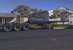 Semi Trailer Rentals (Qld) Pic 3 - 12 pallet Atrailer