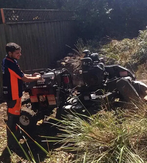 Expert Tree Removal Pty Ltd Pic 4