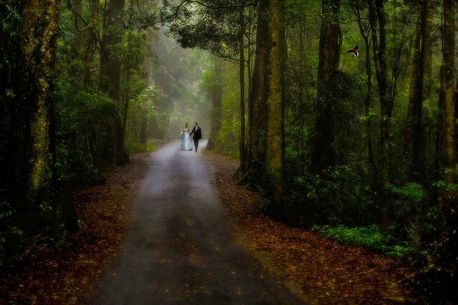 Taylor Made Photographic Pic 1 - Wedding in the clouds