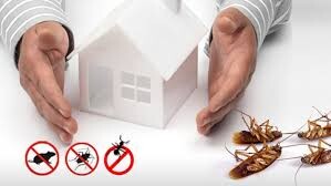 Fast Pest Control Brisbane Pic 4