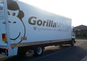 Gorilla Movers PTY LTD Pic 3