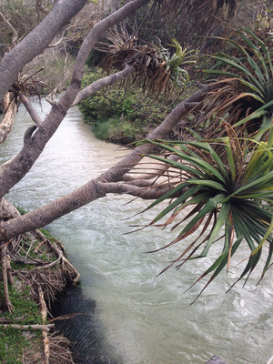 Fraser Island Adventure Tours Pic 4