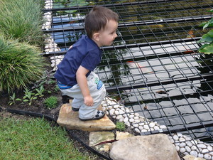 Darren's Family Day Care Pic 3 - Water hazard is safe and secure and a a big draw card for all children