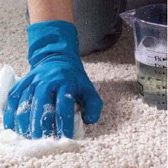 Carpet Cleaning Prahran Pic 2 - Carpet Cleaning Prahran