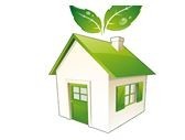 Execs With Solutions Pic 1 - green home shopping