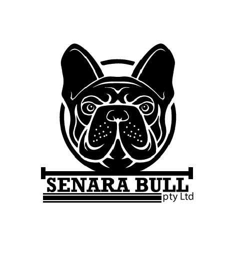 Senara Bull Pic 1