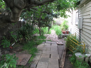 Lawn In Order Pic 3 - Before