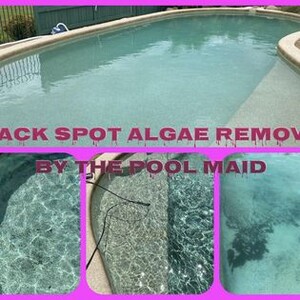 The Pool Maid Pic 2 - When Black Spot algae takes over your pool Just call The Pool Maid to give it the boot