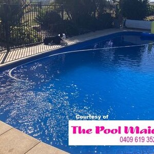 The Pool Maid Pic 5 - Keeping everyone swimming in the South Burnett