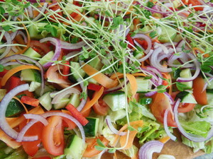 Stockmans Spit Roast Catering Pic 5 - All salads are freshly made