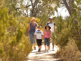 Pepper Tree Cottage Pic 1 - Murraylands South Australia